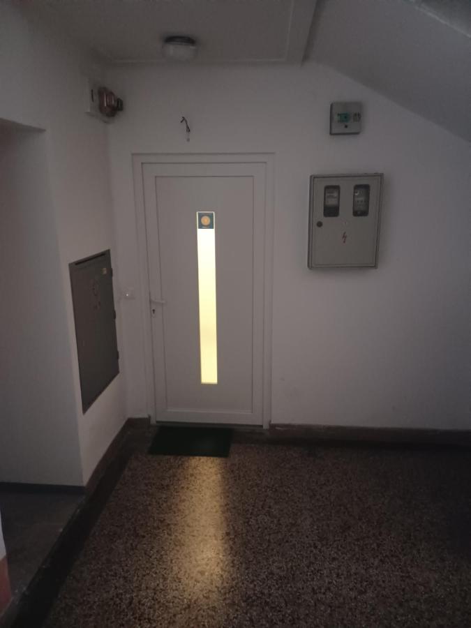 Hajdo Centar * Rijeka