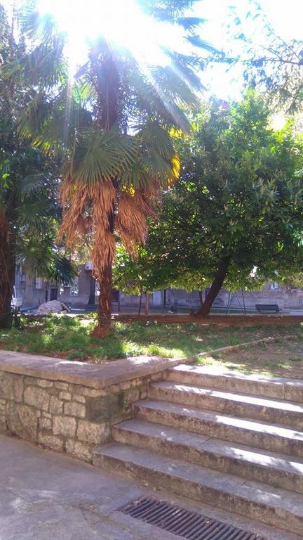 Hajdo Centar * Rijeka