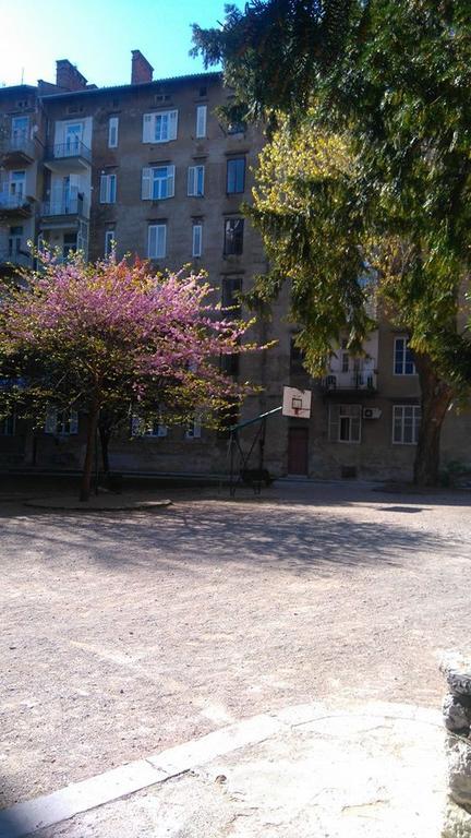 Hajdo Centar *